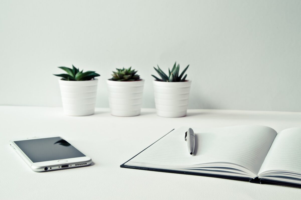 open diary, smartphone, pen and gren plant in white pot on a white desk