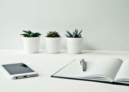 open diary, smartphone, pen and gren plant in white pot on a white desk